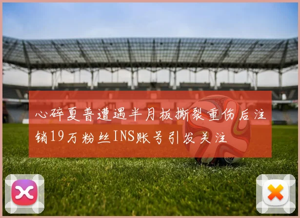 心碎夏普遭遇半月板撕裂重伤后注销19万粉丝INS账号引发关注